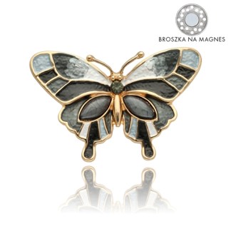 0065527_broszka-na-magnes-br97218_500